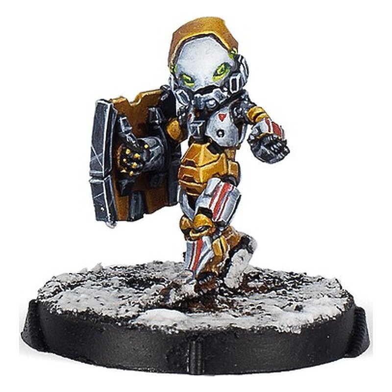 Jujak Regiment, Korean Shock Infantry - Infinity