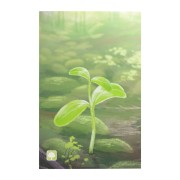 Forest Shuffle Art Sleeves