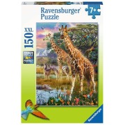 Puzzle 150 Pz. XXL: Jirafas en áfrica