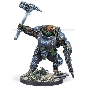 Polaris Team Beast Pack - Infinity CodeOne