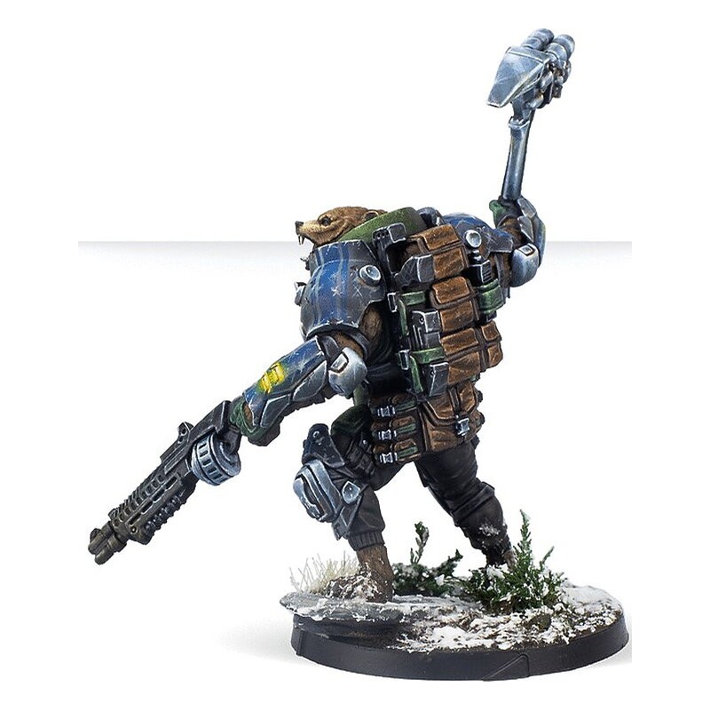 Polaris Team Beast Pack - Infinity CodeOne