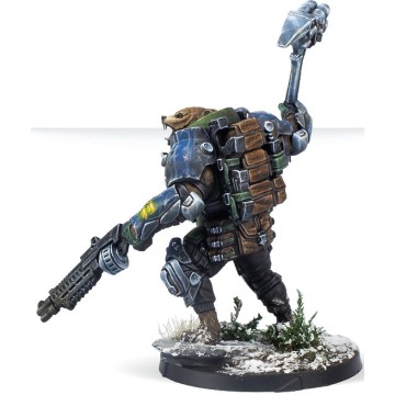 Polaris Team Beast Pack - Infinity CodeOne