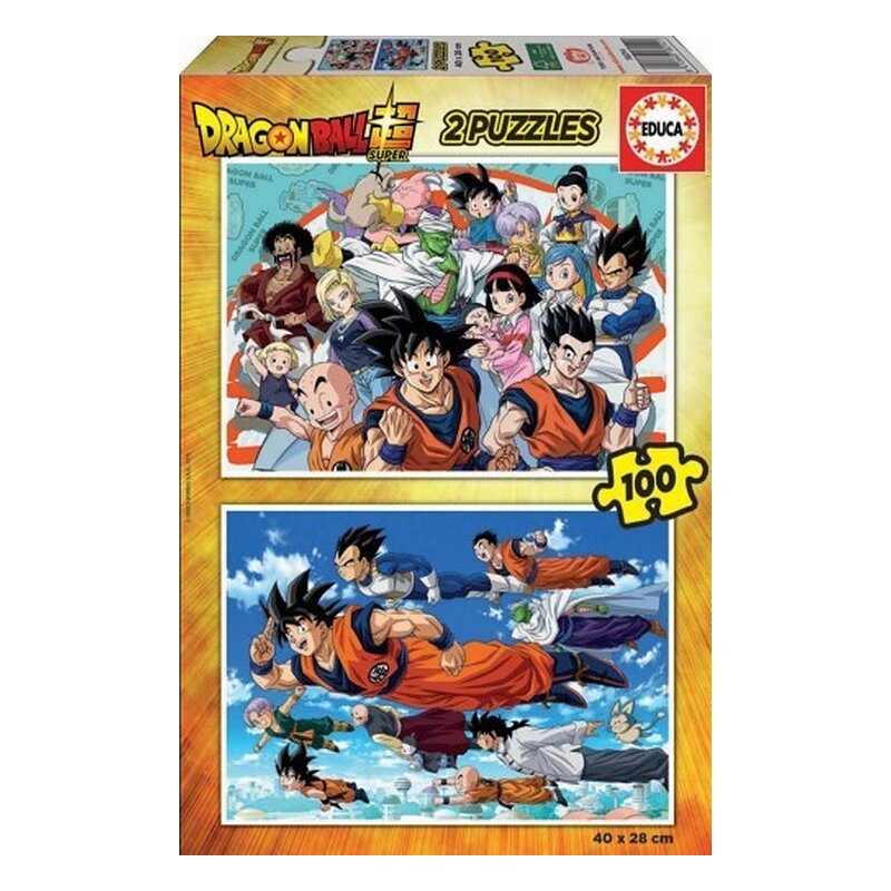 PUZLE DOBLE 100 PIEZAS DRAGON BALL