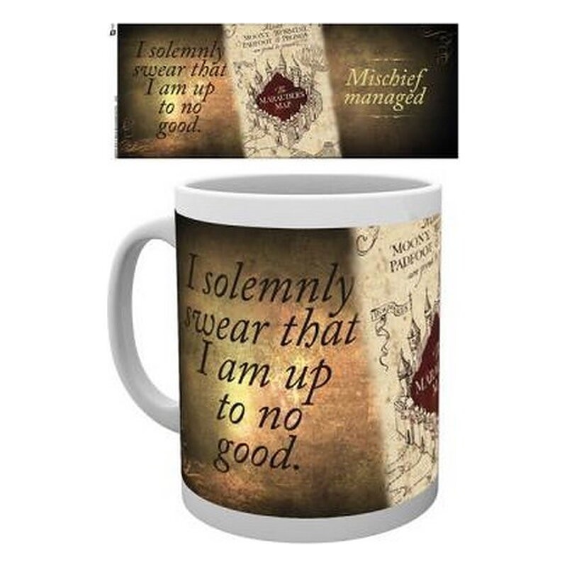 TAZA HARRY POTTER MAPA