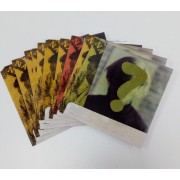 Detective: Sigue la pista - Pack de x16 fotos