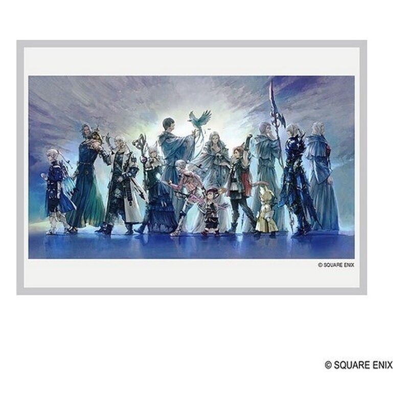 FUNDAS SQ FINAL FANTASY TCG LIGHT`S LEGACY(100)