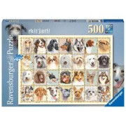 Puzzle 500 Pz: Retratos de perros