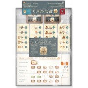 Departments & Donations Expansion - Carnegie (Inglés)