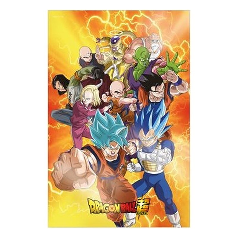 UNIVERSAL SURVIVAL HEROES (DB SUPER) POSTER 3D 58x38 cm DRAGON BALL