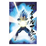 UNIVERSE SURVIVAL VEGETA (DB SUPER) POSTER 3D 58x38 cm DRAGON BALL