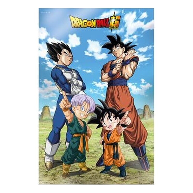 BATTLE OF GODS GOKU VEGETA FAMILY (DB SUPER) POSTER 3D 58x38 cm DRAGON BALL
