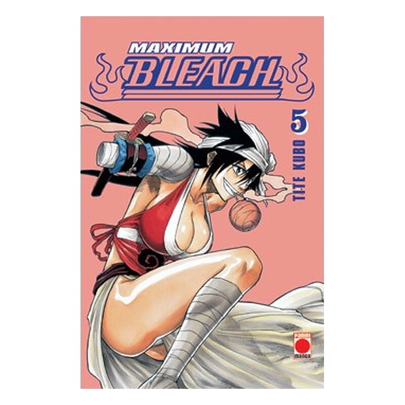 BLEACH MAXIMUM 05