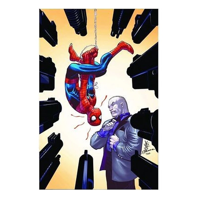 EL ASOMBROSO SPIDERMAN 20