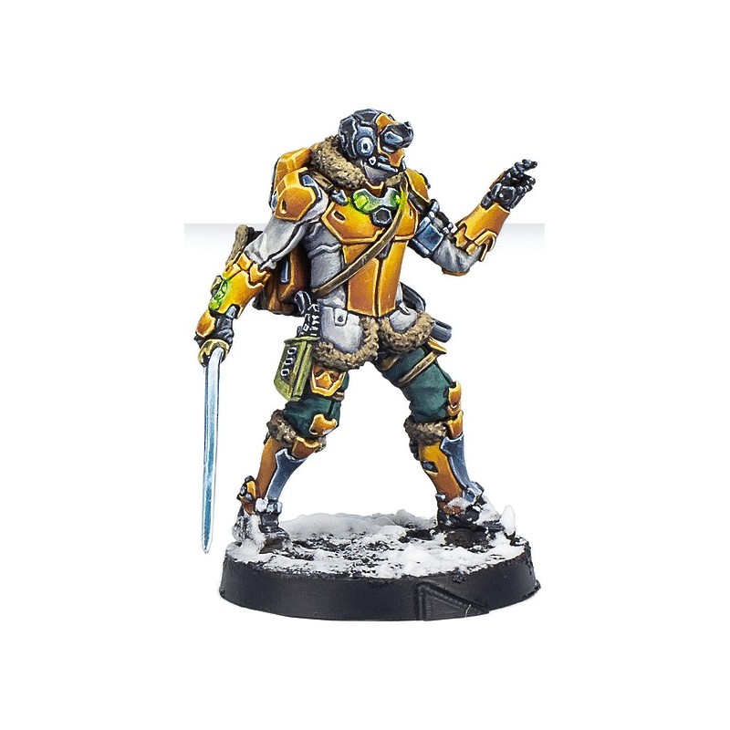 Ye Mao Infantry (Hacker) - Infinity (ES-EN)