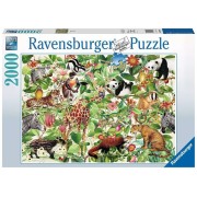 Puzzle 2000 Pz: Selva