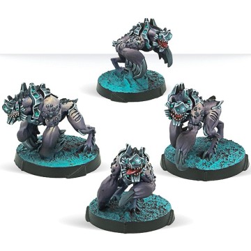 Taigha Creatures - Infinity (ES-EN)