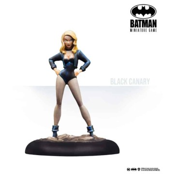The Animated Series: Set 1 - Batman Miniature Game (Inglés)