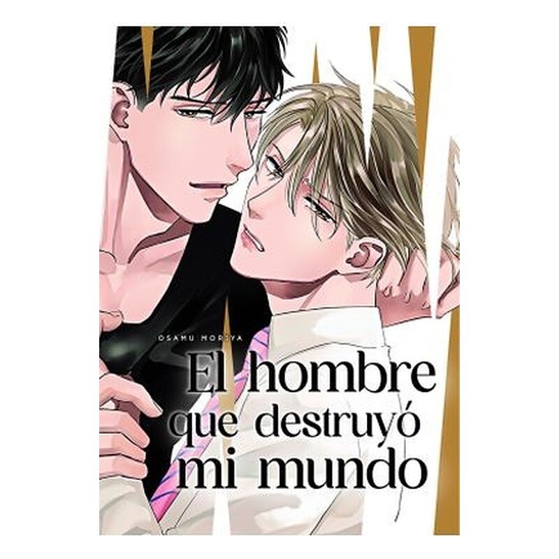 EL HOMBRE QUE DESTRUYO MI MUNDO