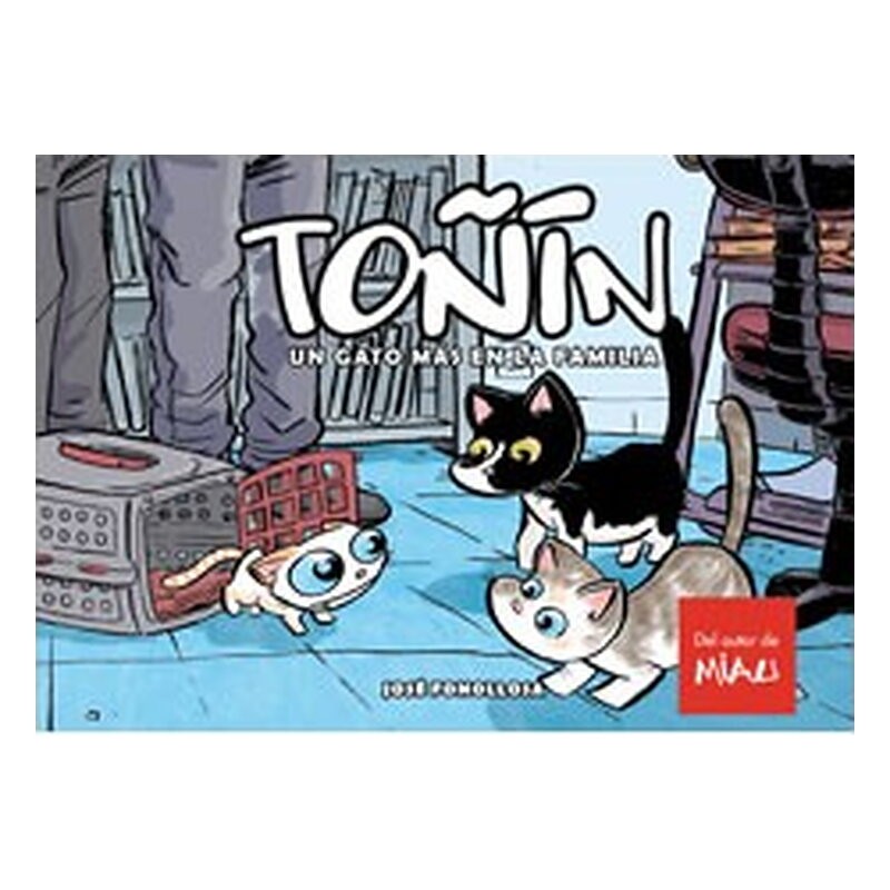TOÑIN. UN GATO MAS EN LA FAMILIA