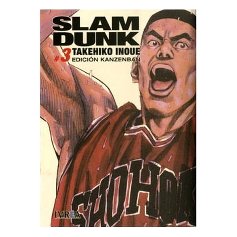 SLAM DUNK EDICION KANZENBAN 03 (COMIC)
