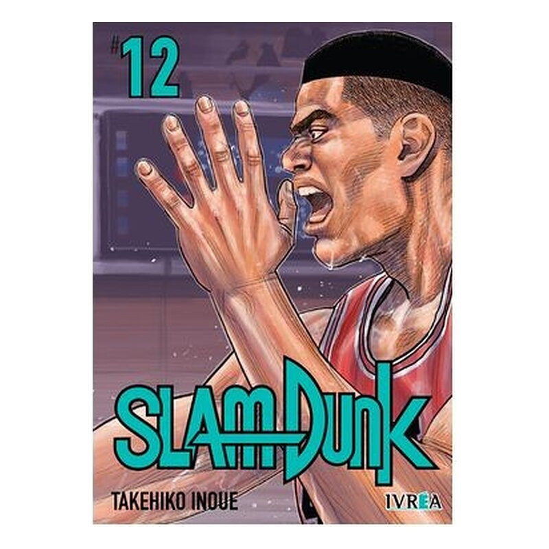 SLAM DUNK NEW EDITION VOL 12