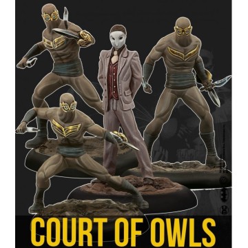 THE COURT OWLS CREW