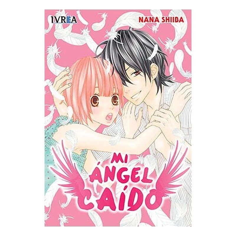 MI ANGEL CAIDO (TOMO UNICO)