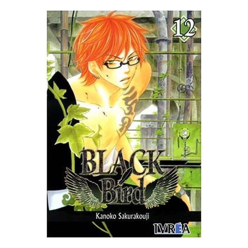 BLACK BIRD 12 (COMIC)