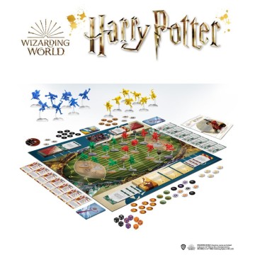 Harry Potter: Catch the Snitch (Inglés)