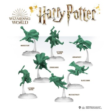 Harry Potter: Catch the Snitch (Inglés)