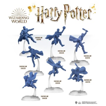 Harry Potter: Catch the Snitch (Inglés)