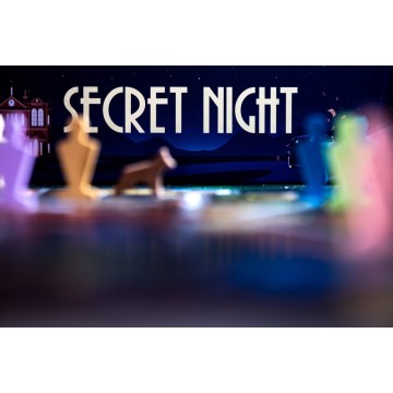 Secret Night at Davis Manor