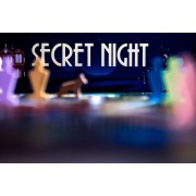 Secret Night at Davis Manor