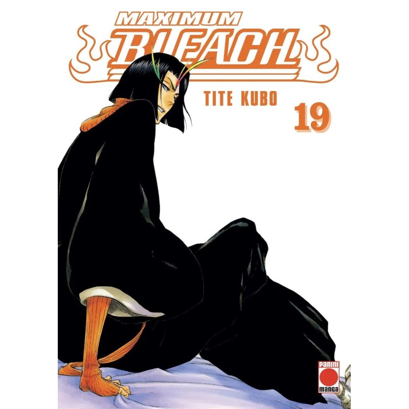 BLEACH MAXIMUM 19