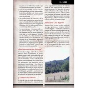 El Lobo - Savage Worlds