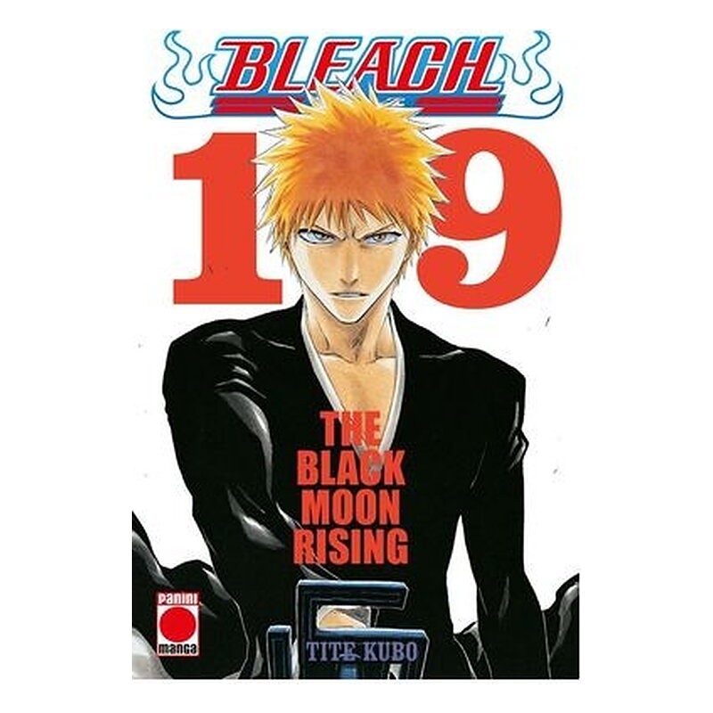 BLEACH BESTSELLER 19