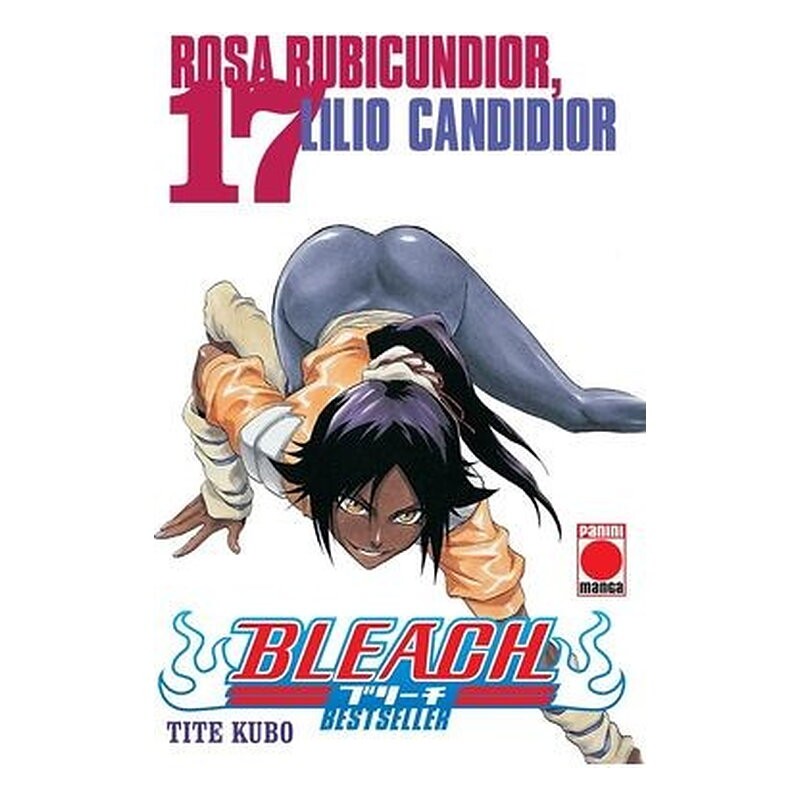 BLEACH BESTSELLER 17