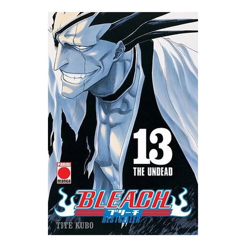 BLEACH BESTSELLER 13