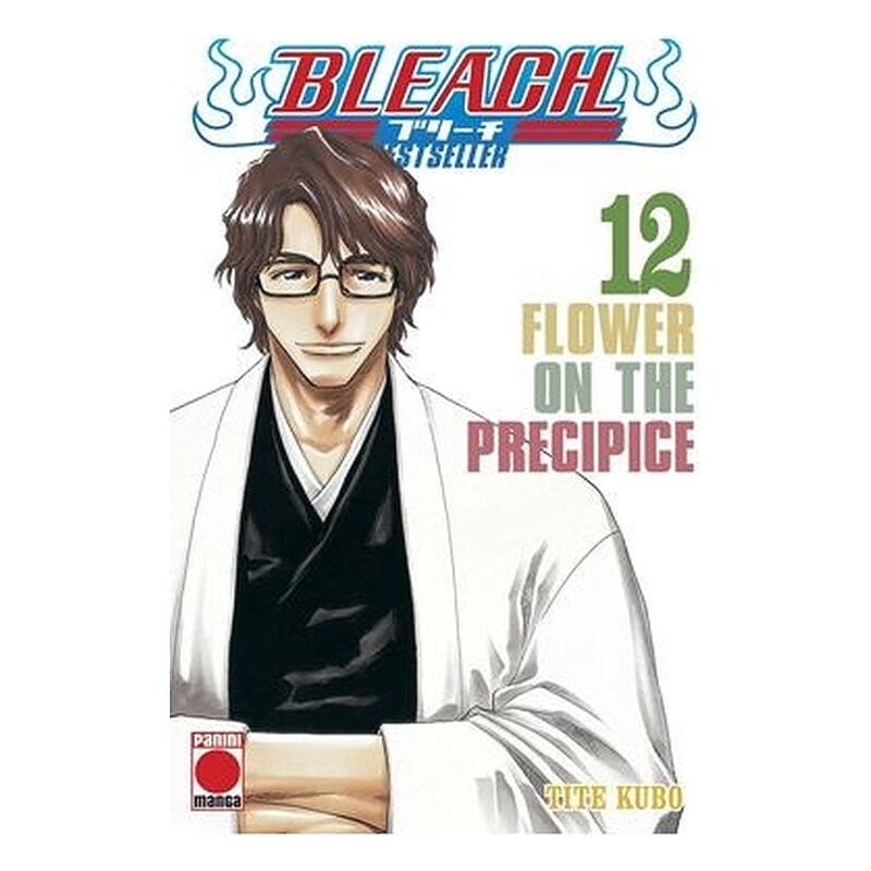 BLEACH BESTSELLER 12