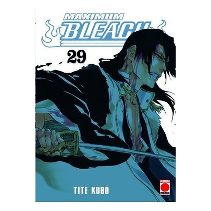 BLEACH MAXIMUM 29