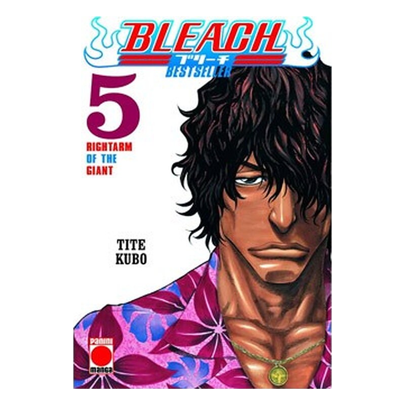 BLEACH BESTSELLER 05