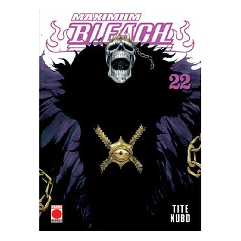 BLEACH MAXIMUM 22
