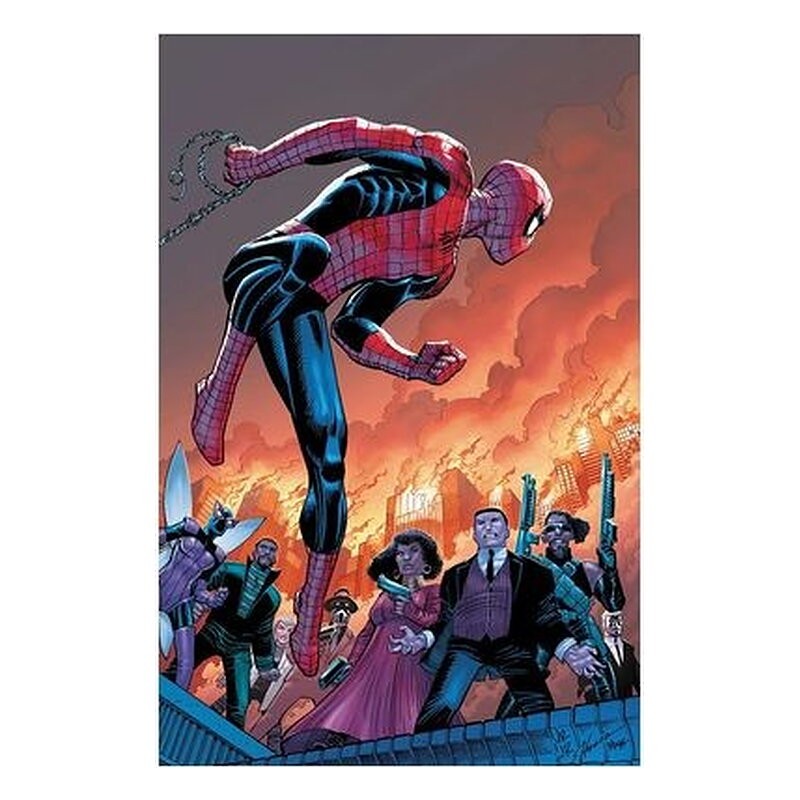EL ASOMBROSO SPIDERMAN 25