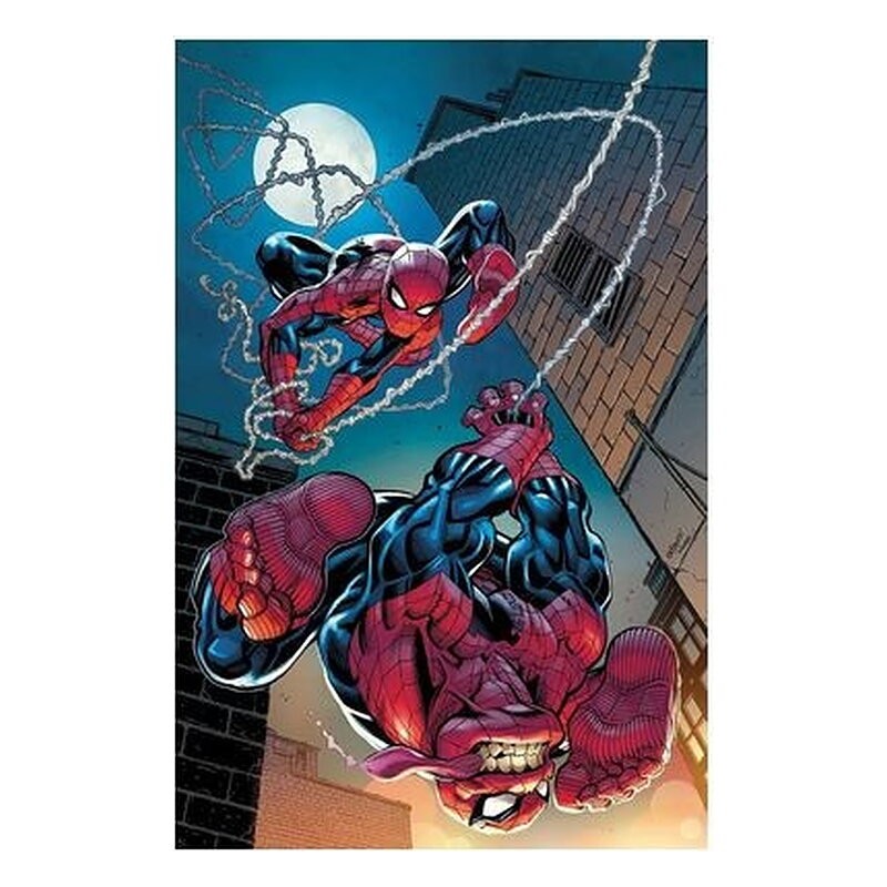 EL ASOMBROSO SPIDERMAN 24