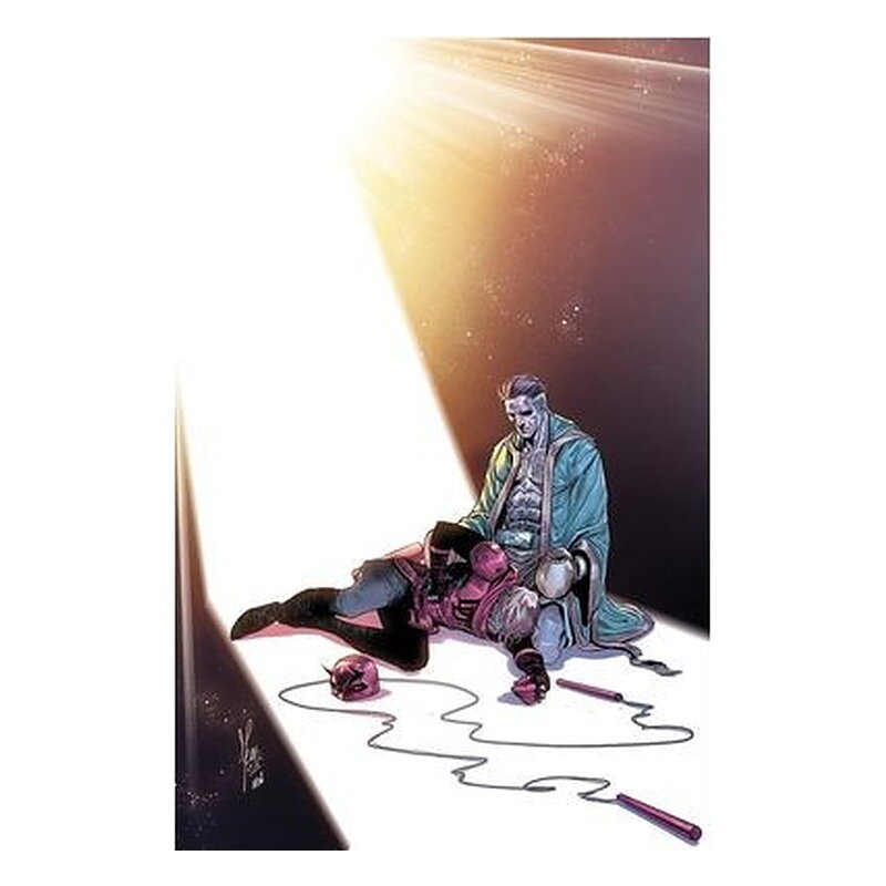 DAREDEVIL 13