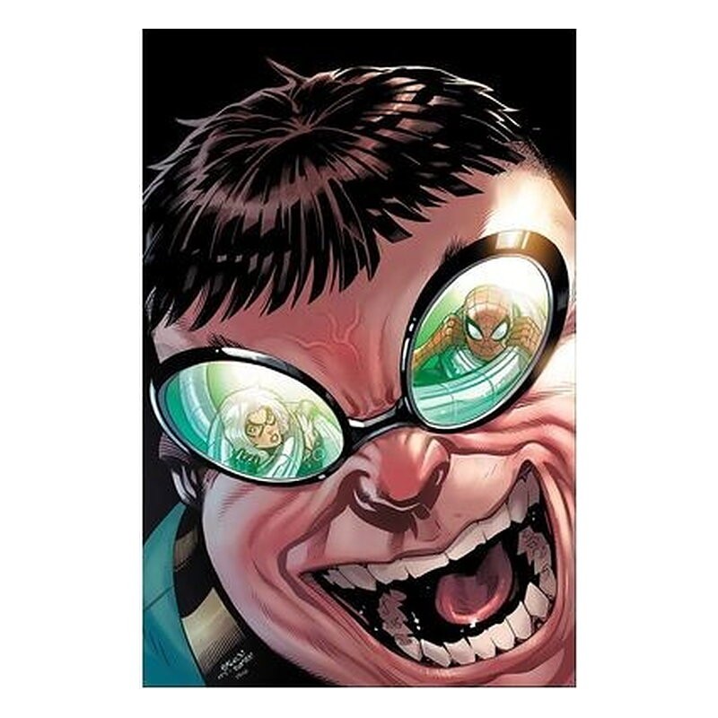 EL ASOMBROSO SPIDERMAN 18