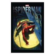 YO SOY SPIDERMAN