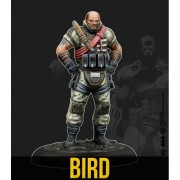 BIRD & MERCS