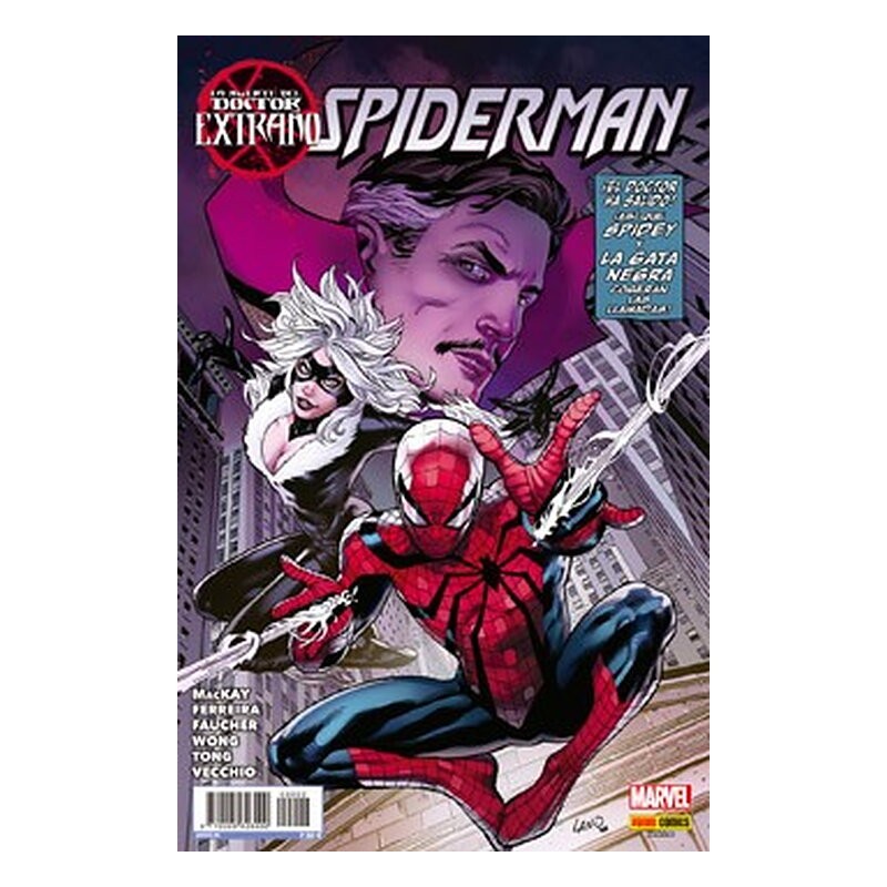 LA MUERTE DEL DOCTOR EXTRAÑO ESPECIAL 2. SPIDERMAN