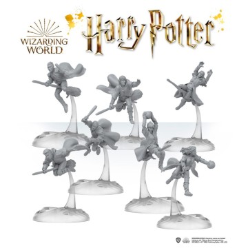 National Quidditch Team Expansion - Harry Potter: Catch the Snitch (Inglés)